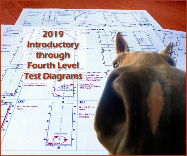 diagrams-and-callsheets-for-2015-usdf-and-usef-dressage-tests