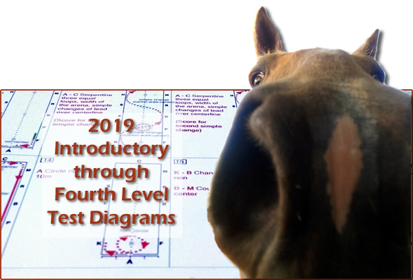 Diagrams And Callsheets For 2019 USDF And USEF Dressage Tests