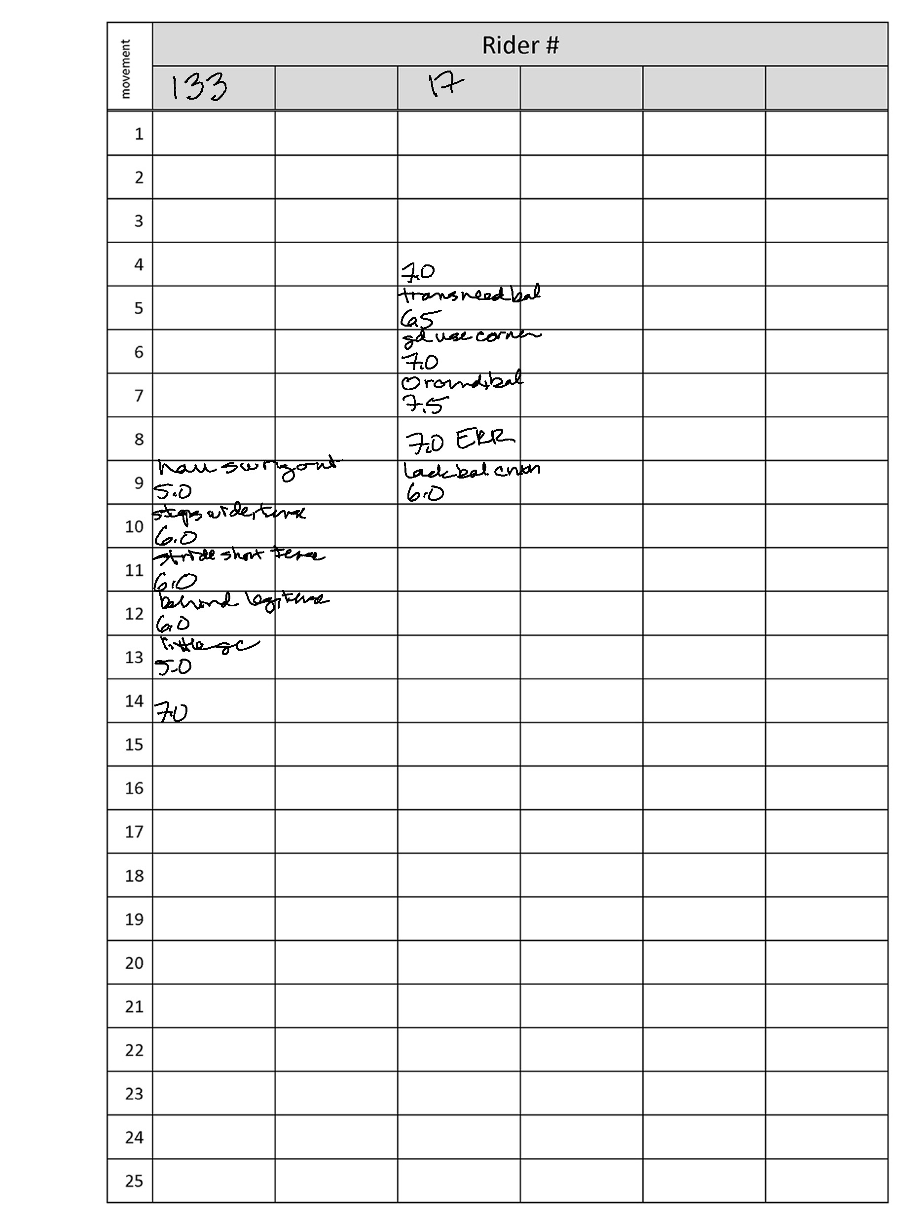 Sample Rider Matrix